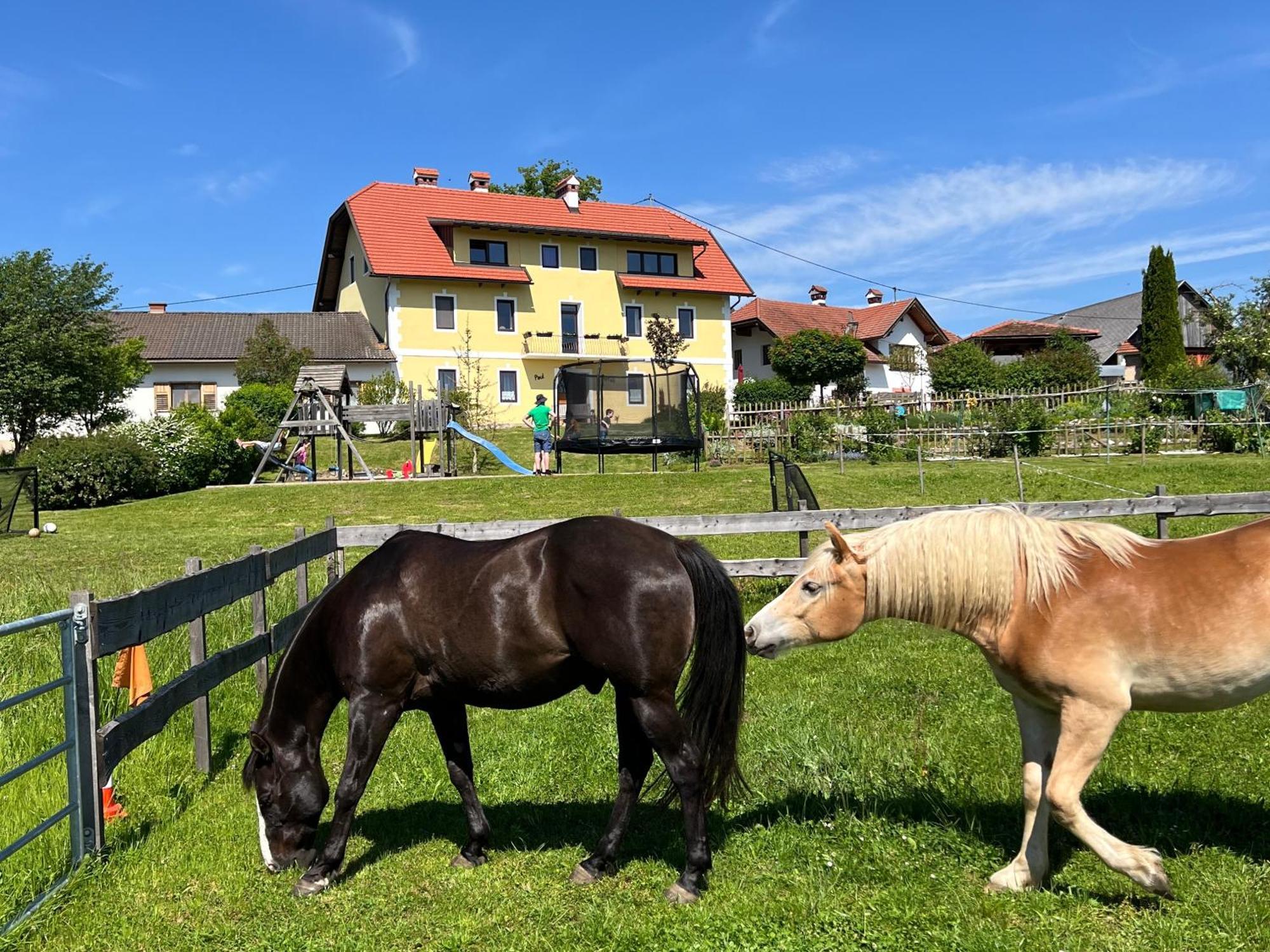 Rutarhof Apartman Rosegg Kültér fotó